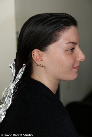 DAV 0354
